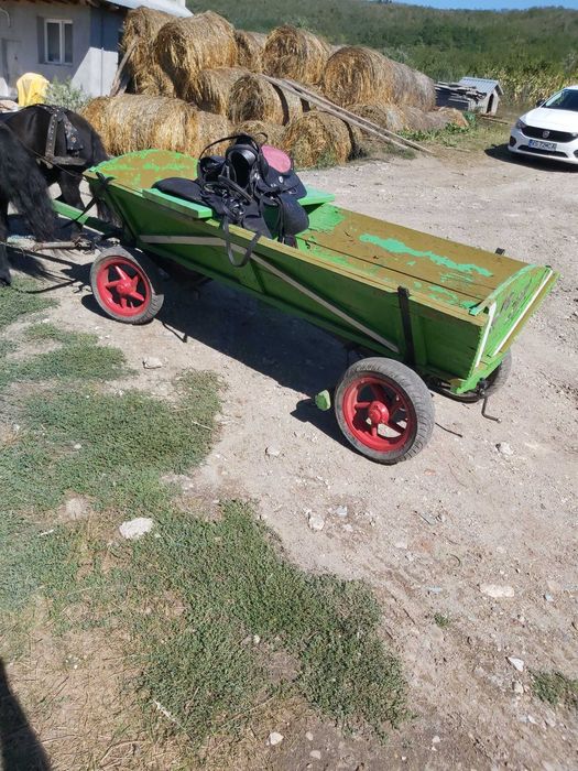 Ponei pereche mascul + femela, caruta, sea, hamuri