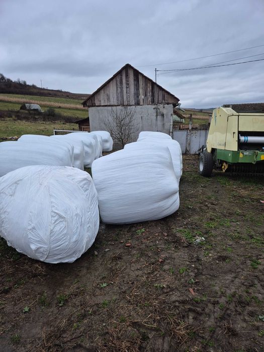 Vând baloți de lucernă  înfoliați 16 buc.