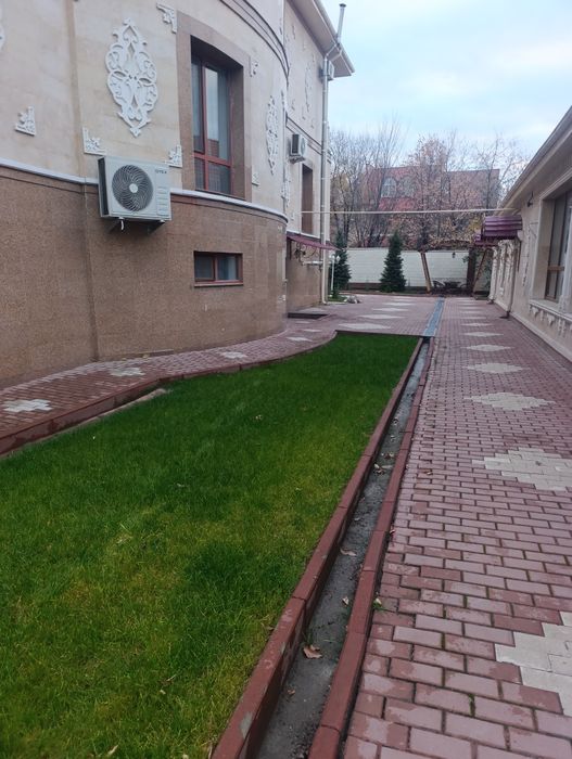 Газон Автополив Стрижка