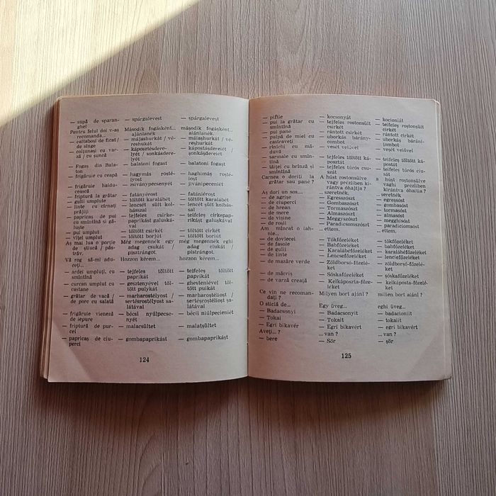 Ghid de conversatie Roman - Maghiar / dictionar Ungaria