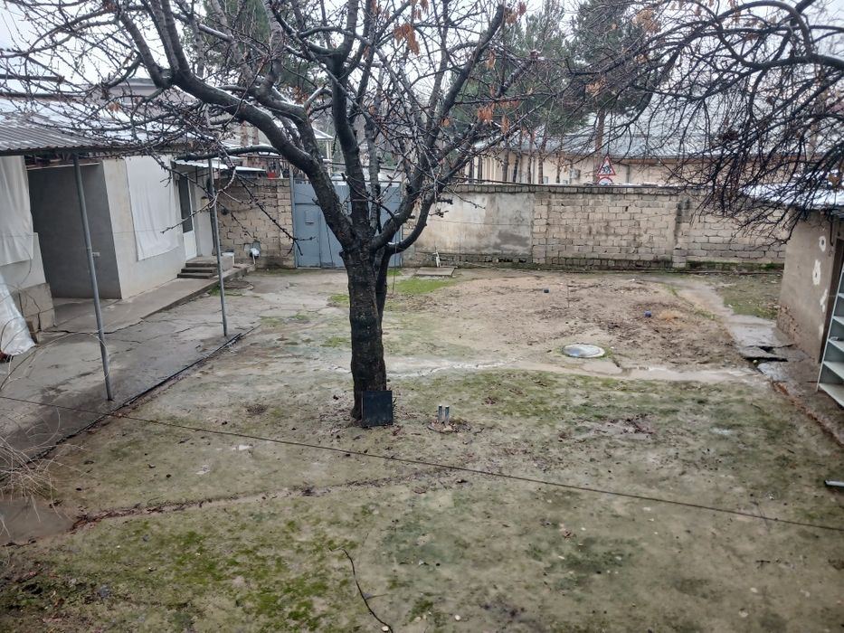 Ховли сотилади  бодомзорда