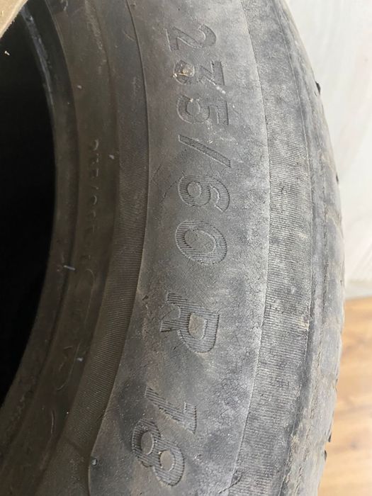 донгелектер сатылады срочно