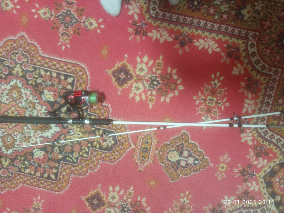 Крокодил спинигг