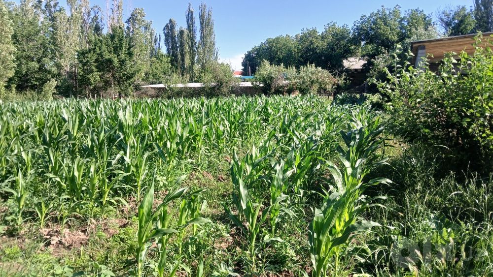 Учаска 14 сотк сотылады срошна