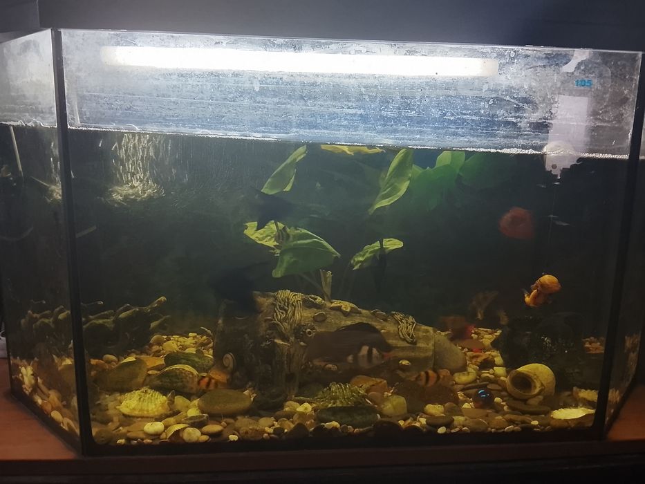 Срочно продам аквариум