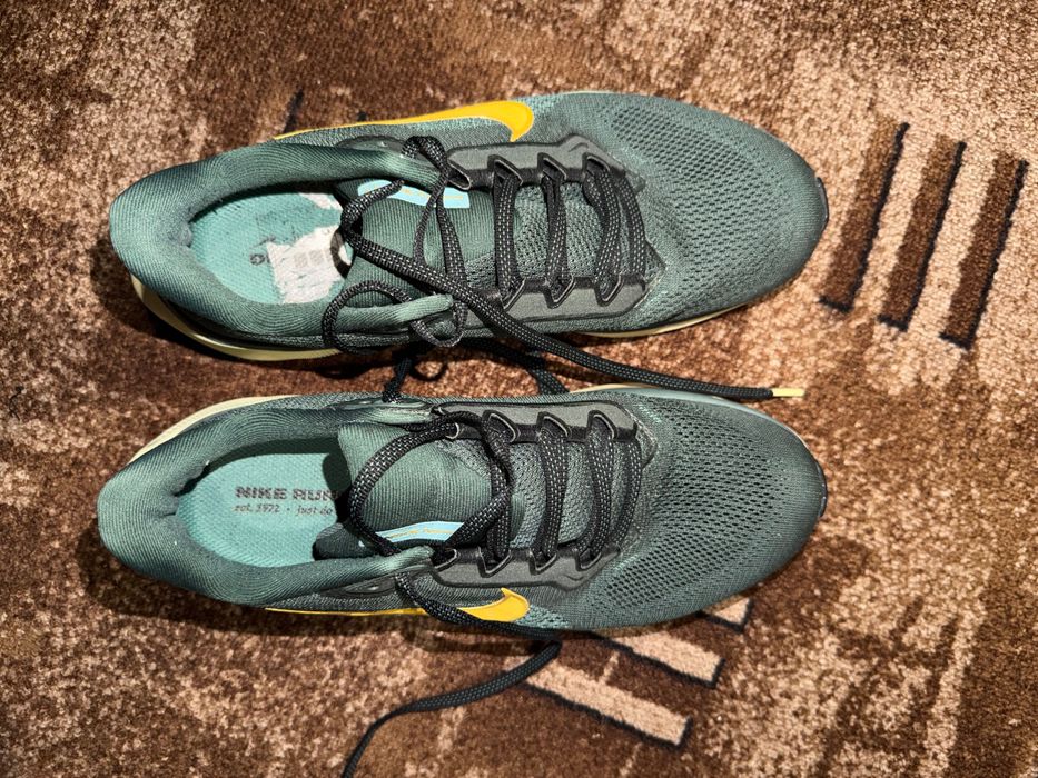 Маратонки Nike Pegasus 41