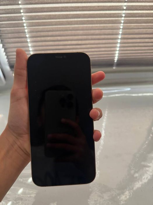 Iphone 12 pro max
