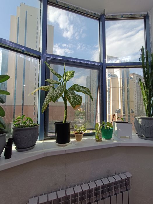 Продам 3 квартиру 127 квадрат