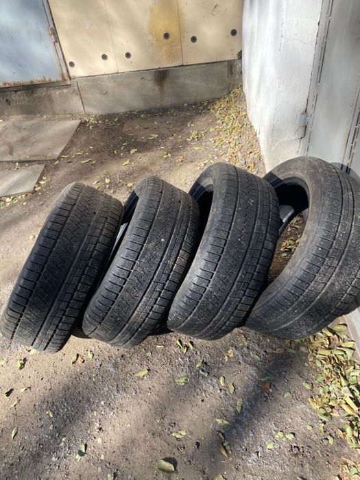 Зимняя резина Triangle