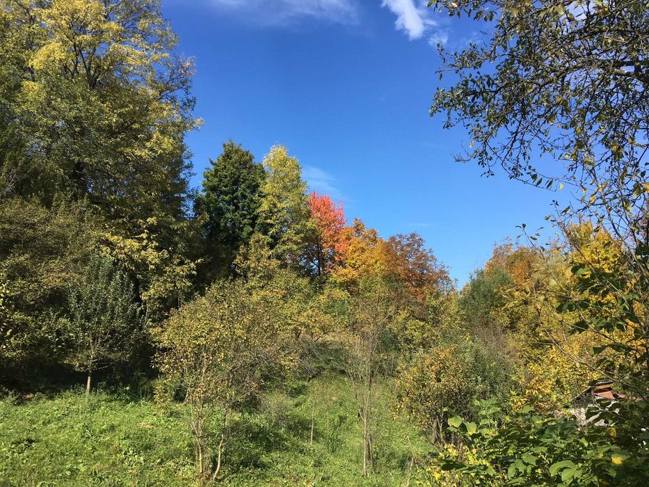 Vand teren Breaza, 10.000 mp