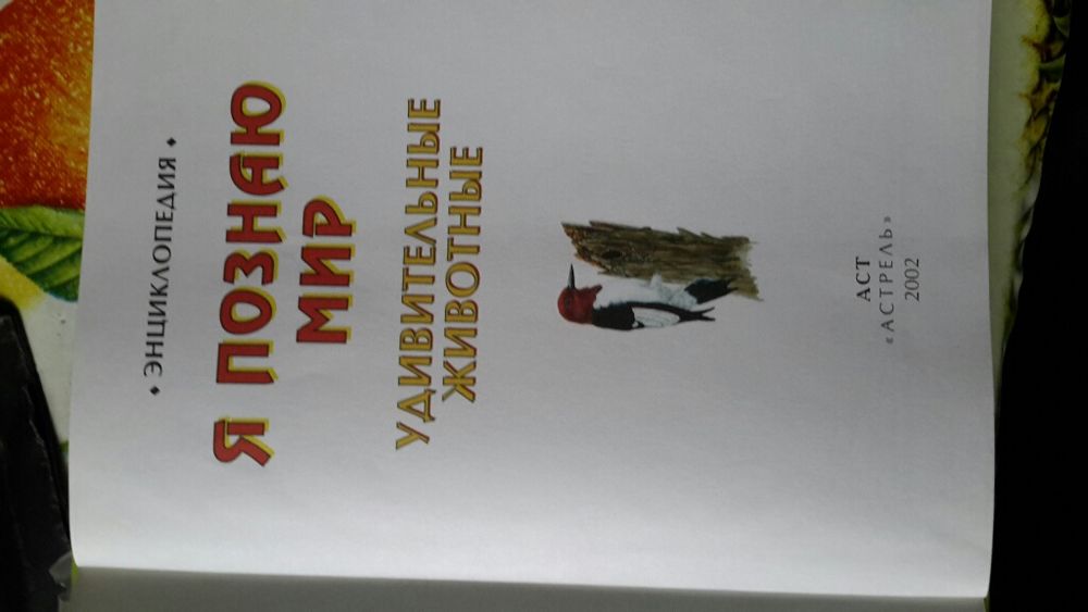 Энциклопедия