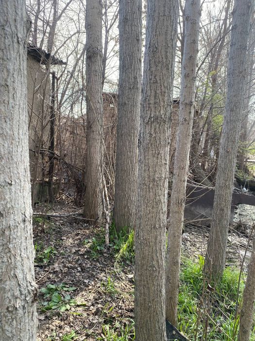 Терак сотилади. 200 дона