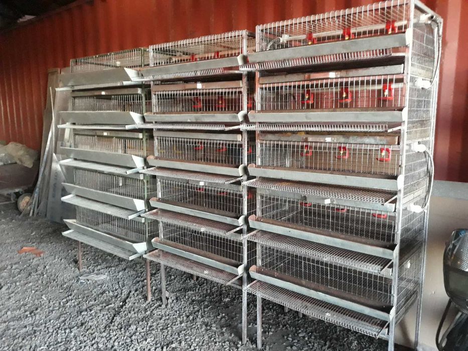 Клетки для перепелов