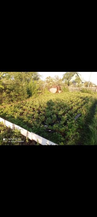 Срочно Продается Дача