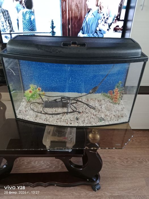 Фабричный аквариум.