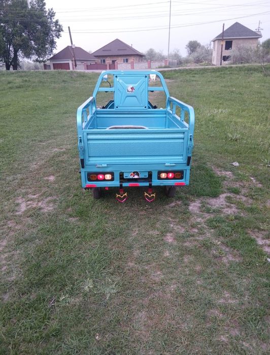 Муравейник новый