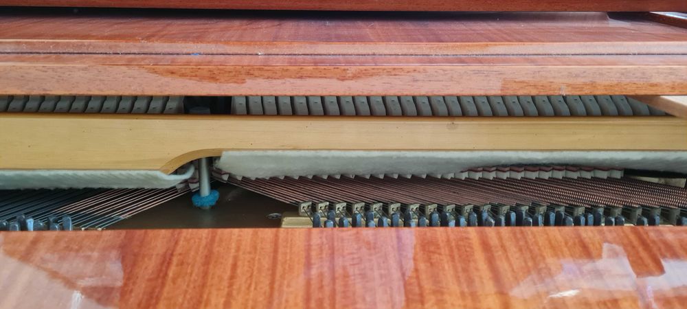 Руско пиано Етуд