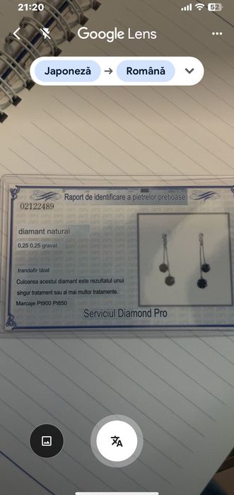 Cercei din Platina cu diamante negre naturale