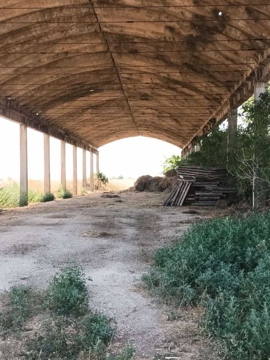 Продава се Промишлена сграда в с. Радишево, Област Плевен - 32000 кв.м за 0 €/кв.м - Снимка #6