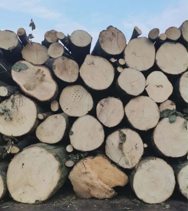 Vand lemne de foc esenta tare carpen