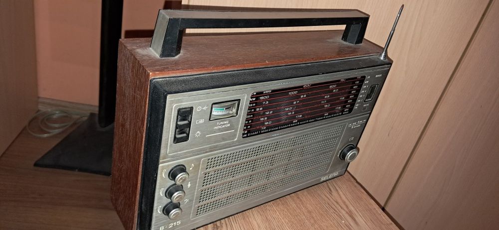 Приёмник Белорусский Selena