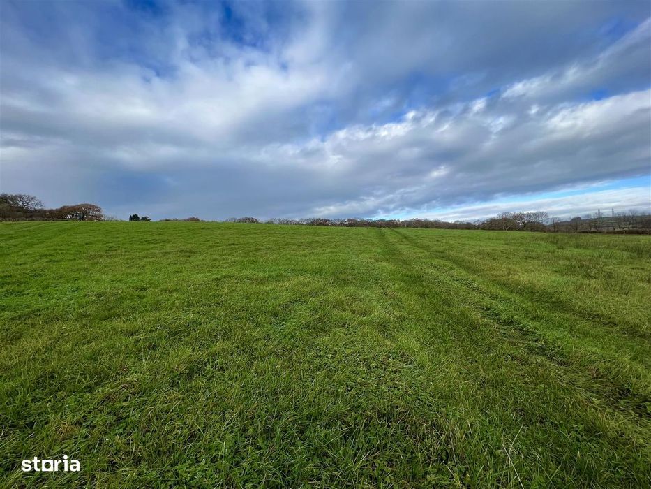 Teren intravilan Roșiori, Dulcești, 1.200 mp, dimensiuni 29 x 45 m