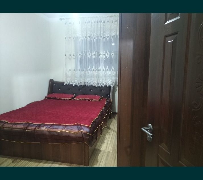 Arzon mehmonxona bez zaks hotel kvartira sutka hostel хостел гостиница