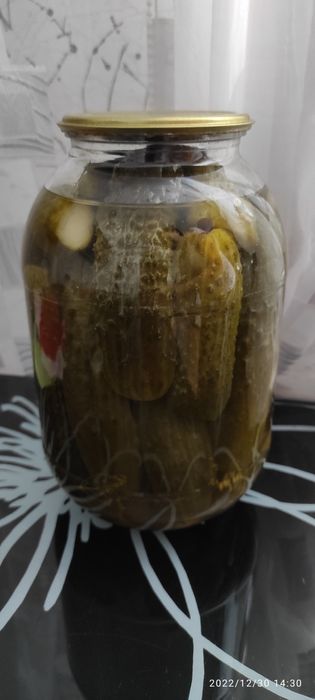 Огурцы консервированные