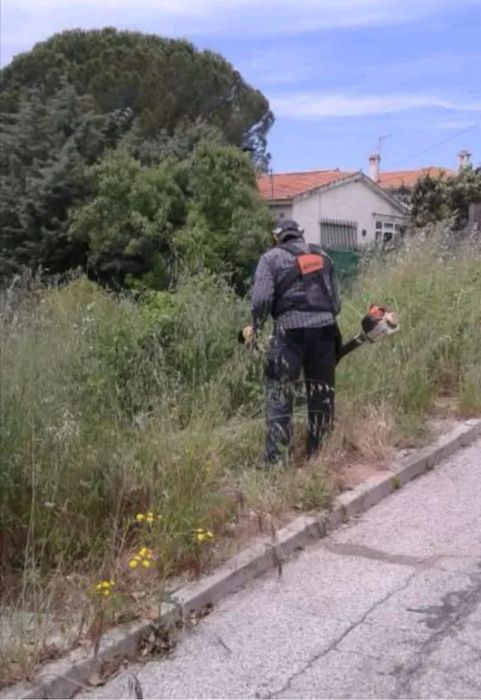 Curățenie terenuri , defrisari , toaletari , echipă serioasa