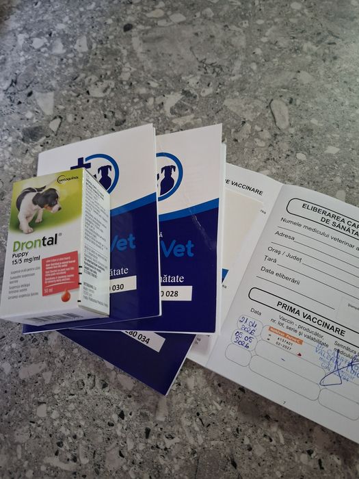 Bichoni  talie mică