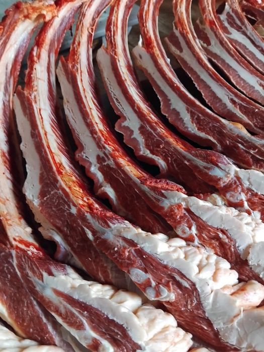 Продам мясо конина