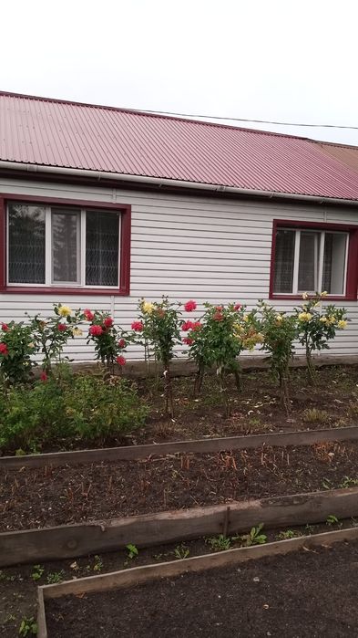 Продам дом, в живописном районе.