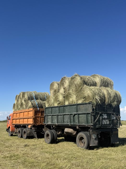 Продам Сено разнотравье
