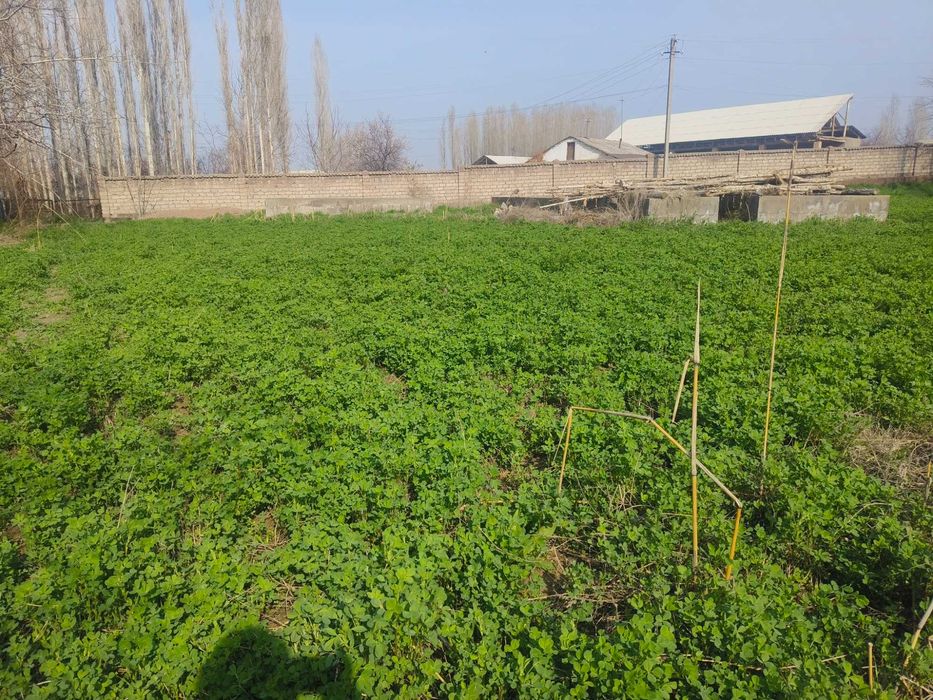 Yer sotiladi 10 sotoh