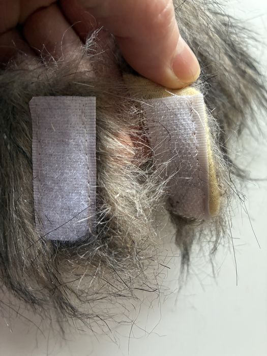 Аксесуари за  малка котка,чанта , шапка  , дреха