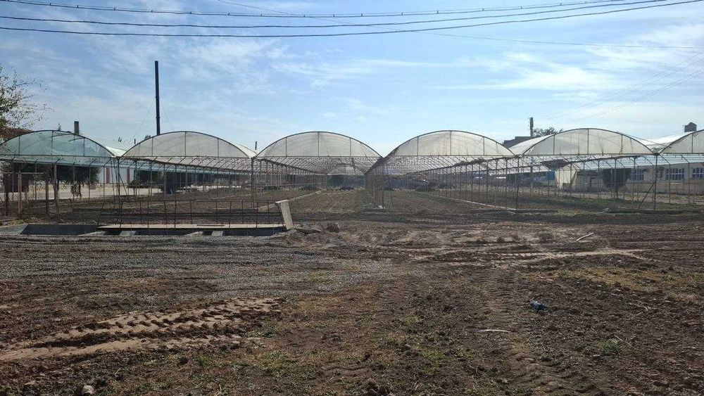 Мева сабзавот махсулотларни қайта ишлаш заводи