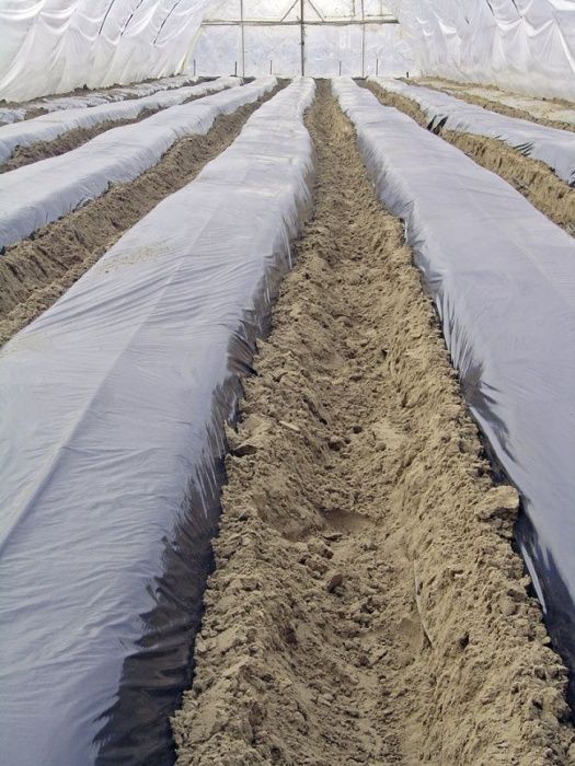 FOLIE MULCIRE 15-30MICRONI, Negru/Gri/Transparentă/Maro, Perf/Neperf