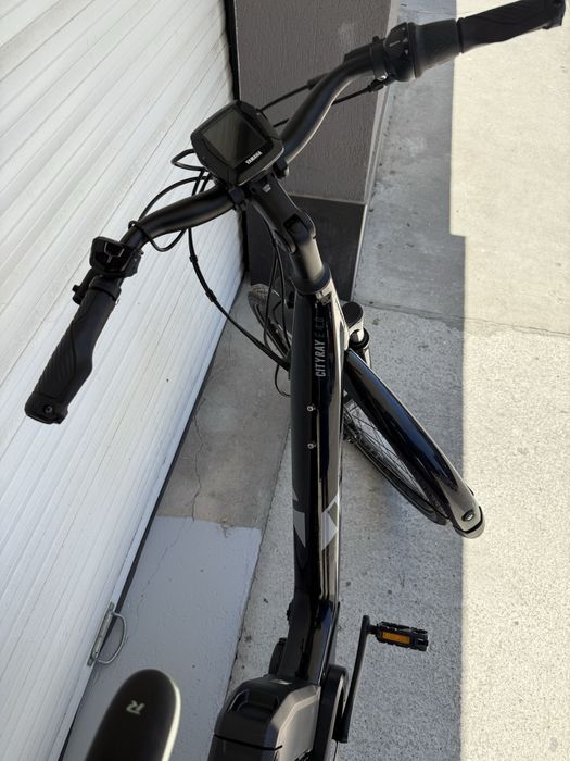 Електрически RAYMON  CityRay E 4.0 FW