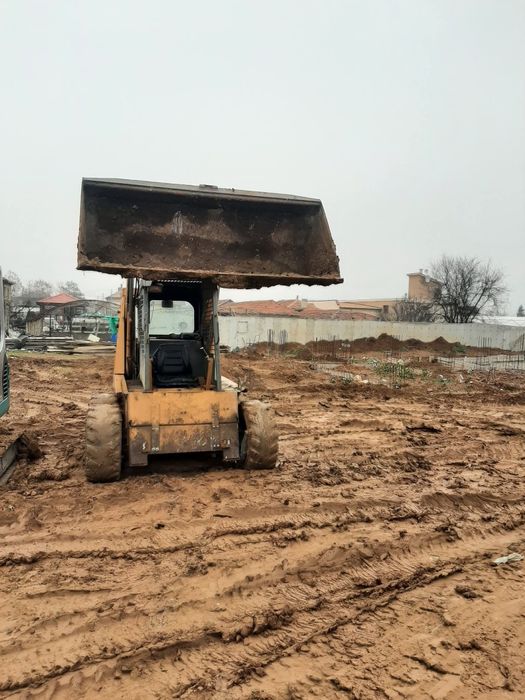 Хамслски услуги чистене къртим,