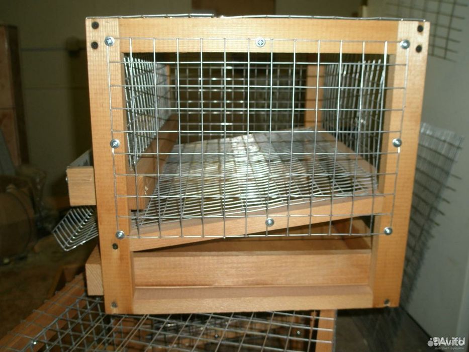 Клетки для перепелок несушек и брудера.