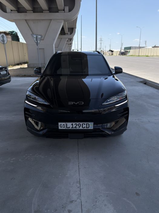 Byd champion smart 2025