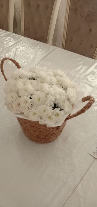 Гүлдер, гүлдер, цветы