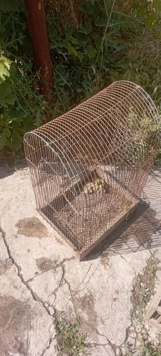 Клетки для содержание и ловли диких певчих птиц