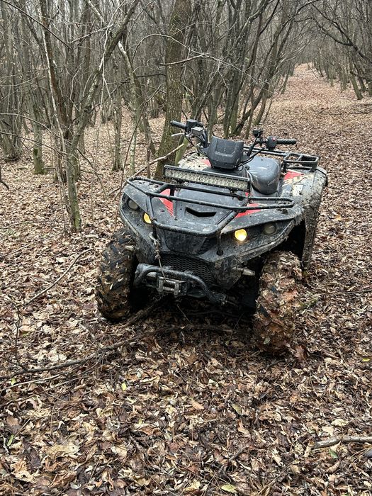 Vand linhai dragonfly 300