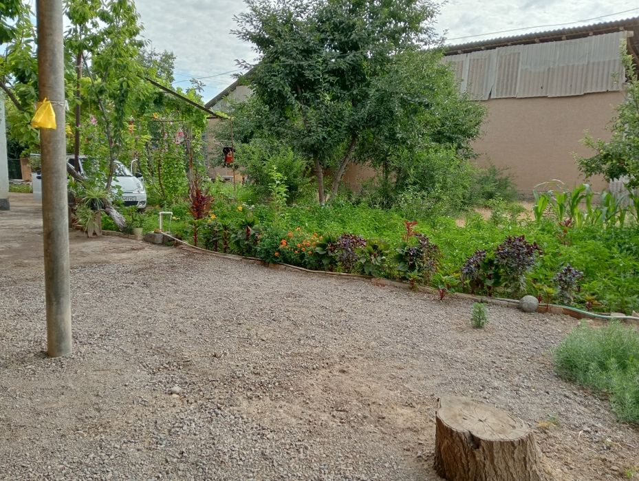 Uchaska sro'chna sotiladi