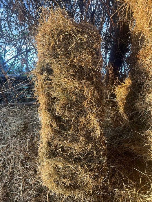 Baloti de paie cu fan