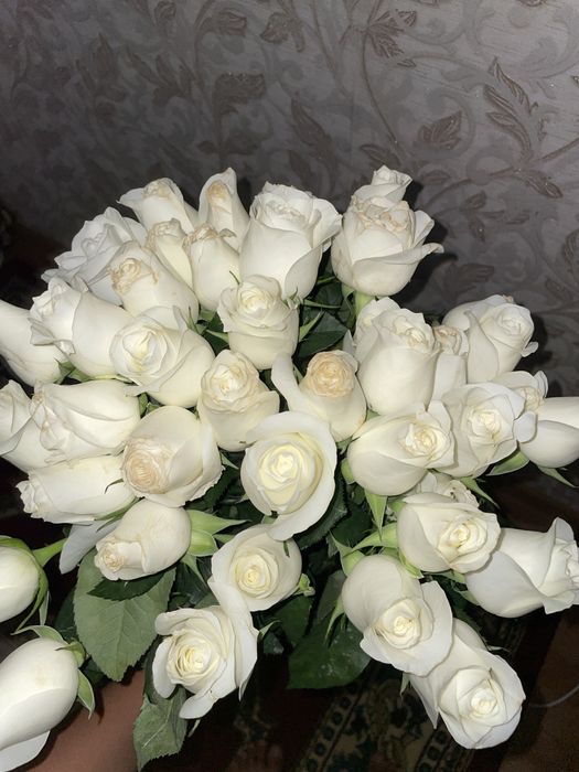 Срочно сатылады 51 роза