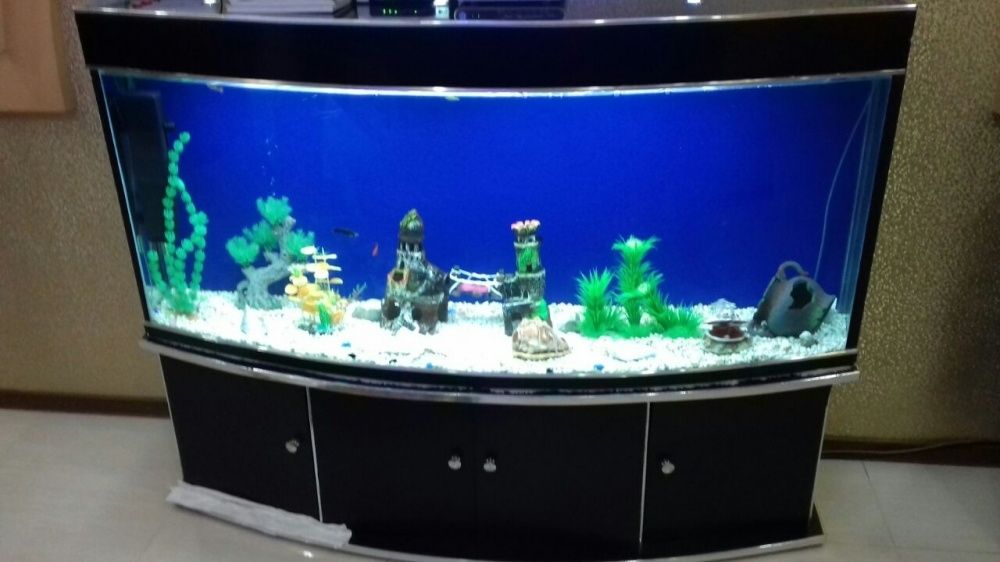 Аквариум ремонт любой часть реставрация аквариумной мебели