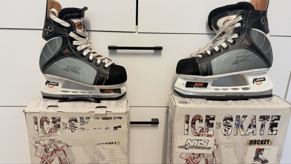 Patine gheata  hochei