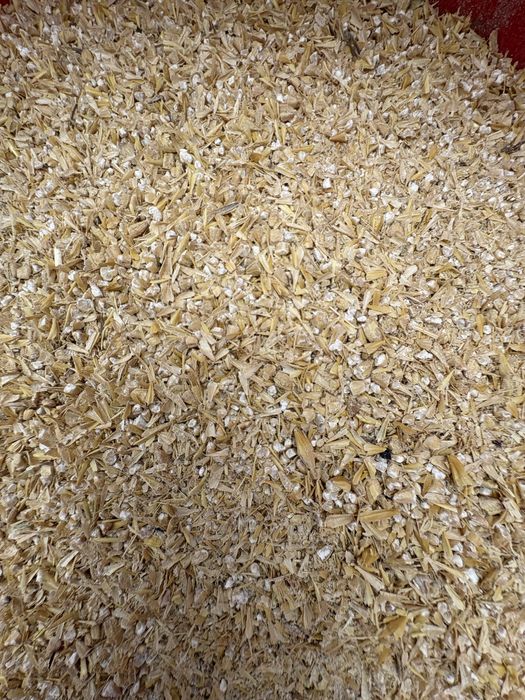 Арпа ячмен бидай пшеница   8 771/-987-99/99